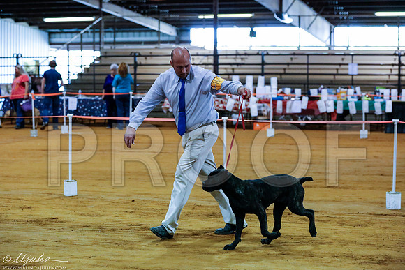 _RH_2555-MarshDec2014-HR