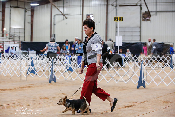 _JJ_6340-TxArJun2014-HR3