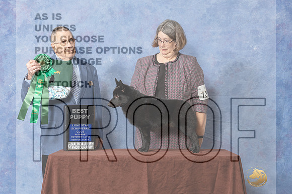 #13 Best Pup Judge Donald Gill-_CL_8939e_Schip_2022-HR3