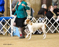 Group Sporting Sat Houston Nov 2011