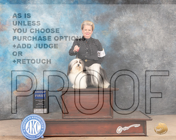Havanese #9 Sun G1 Judge Joan Liebes-MMJ_5141-Abilene2022-HR3