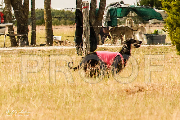 _MJ_5325-AfgBeltonOct2014-HR3