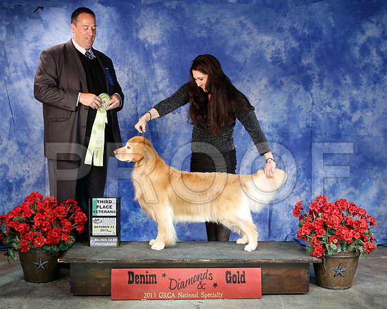 VetSweeps-6458-WFOct2013-HR