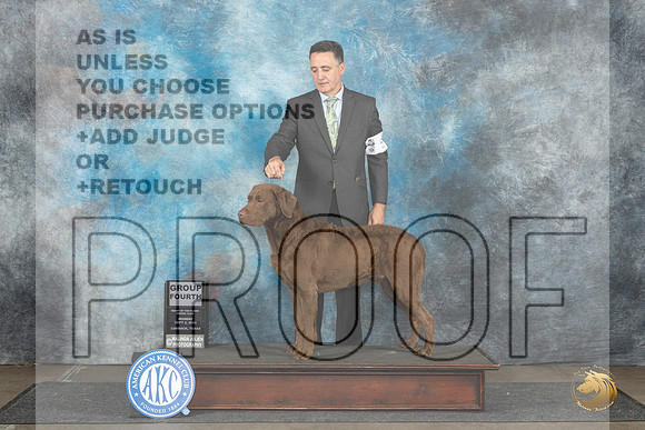 Chesapeake Bay Retriever #5 Mon G4 Judge Debra Thornton__JP_4512_Lubbock_2024_HR3