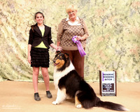 Rough Collie #16 St RWB Lea & Krystal Bertsch & Tina & Larry Patterson Judge Martha Ramer LR Collie Specialty Georgetown Feb 2013