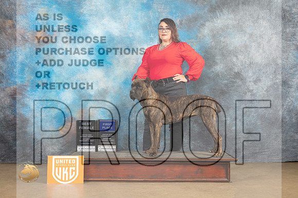 Cane Corso #203 Sat1 Judge Anthony Rapposo_MJ_9286_UKCLvwfeb23_HR3