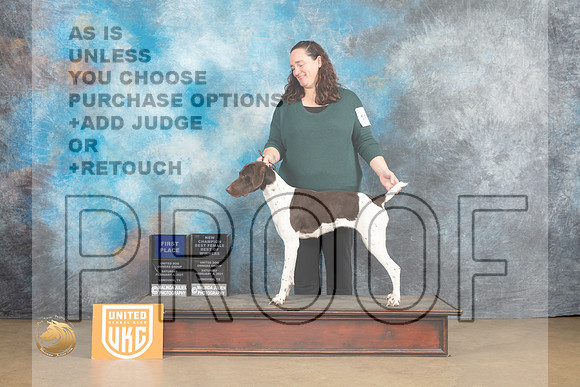 German Shorthaired Pointer #1117 Sat1 BFBOWCh Judge Rick Gann_MJ_9290_UKCLvwfeb23_HR3