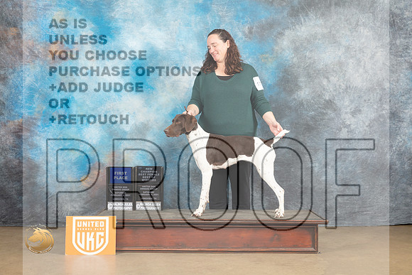 German Shorthaired Pointer #1117 Sat1 BFBOWCh Judge Rick Gann_MJ_9291_UKCLvwfeb23_HR3