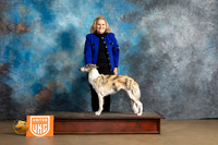 Silken Windhound #115 Sat1 G1 Judge Debbie Mitchell