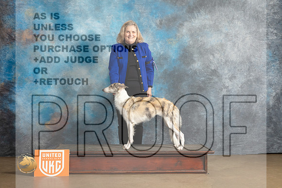Silken Windhound #115 Sat1 G1 Judge Debbie Mitchell_MJ_9273_UKCLvwfeb23_HR3