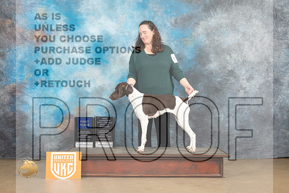 German Shorthaired Pointer #1117 Sat1 BFBOWCh Judge Rick Gann_MJ_9293_UKCLvwfeb23_HR3