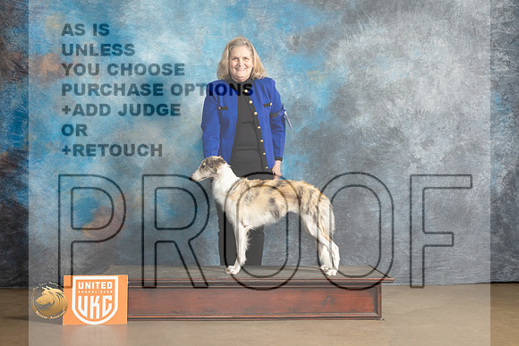 Silken Windhound #115 Sat1 G1 Judge Debbie Mitchell_MJ_9274_UKCLvwfeb23_HR3