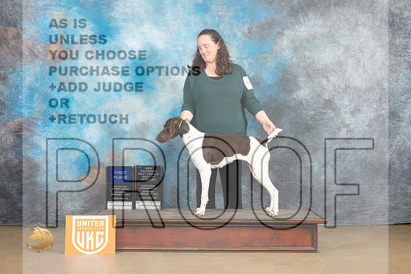 German Shorthaired Pointer #1117 Sat1 BFBOWCh Judge Rick Gann_MJ_9292_UKCLvwfeb23_HR3