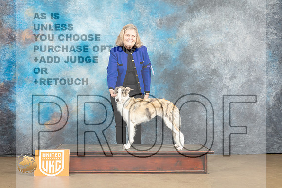 Silken Windhound #115 Sat1 G1 Judge Debbie Mitchell_MJ_9275_UKCLvwfeb23_HR3