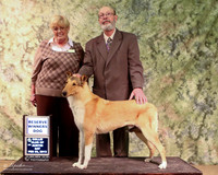 Smooth Collie Sat Reserve WD Tina & Larry Patterson Judge Martha Ramer LR Collie Specialty Georgetown Feb 2013