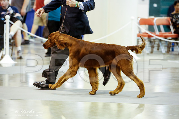 _JJ_4656-HstnJul2014-HR3