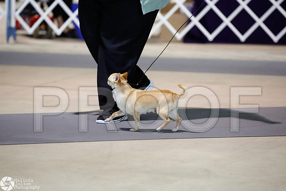 _JJ_2740-SanAntonioJul2014-HR