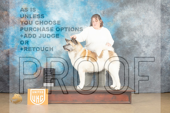 Akita #113 Sat ARBIS Judge Tony Rapposo_MJ_9331_UKCLvwfeb23_HR3
