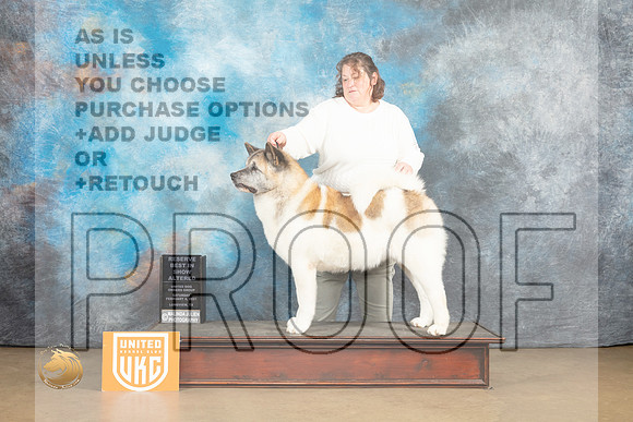 Akita #113 Sat ARBIS Judge Tony Rapposo_MJ_9332_UKCLvwfeb23_HR3