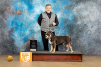 American Bully #135 Sat BOWC Judge Rick Gann