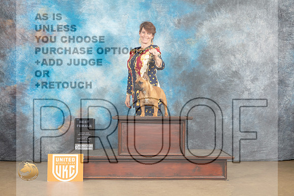 French Bulldog #1130 Sat1 SF Judge Debbie Mitchell_MJ_9343_UKCLvwfeb23_HR3