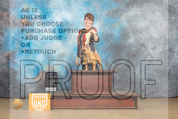 French Bulldog #1130 Sat1 SF Judge Debbie Mitchell_MJ_9344_UKCLvwfeb23_HR3