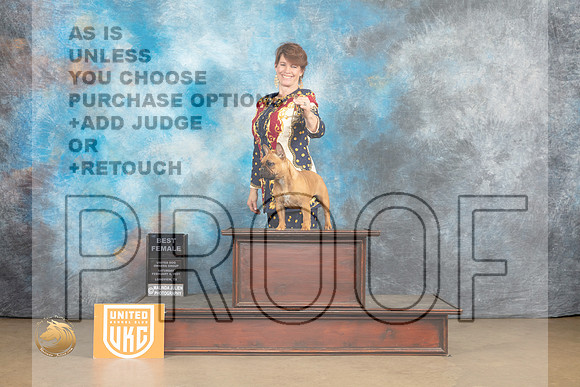French Bulldog #1130 Sat1 SF Judge Debbie Mitchell_MJ_9346_UKCLvwfeb23_HR3