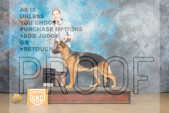 German Shepherd Dog #? Sat 1_MJ_9315_UKCLvwfeb23_HR3