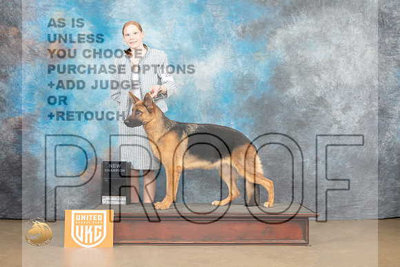 German Shepherd Dog #? Sat 1_MJ_9317_UKCLvwfeb23_HR3