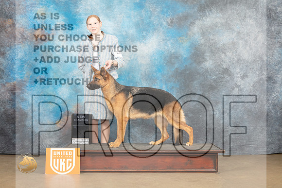 German Shepherd Dog #? Sat 1_MJ_9316_UKCLvwfeb23_HR3