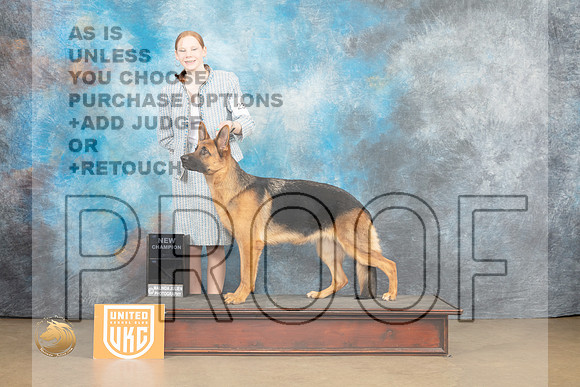 German Shepherd Dog #? Sat 1_MJ_9324_UKCLvwfeb23_HR3