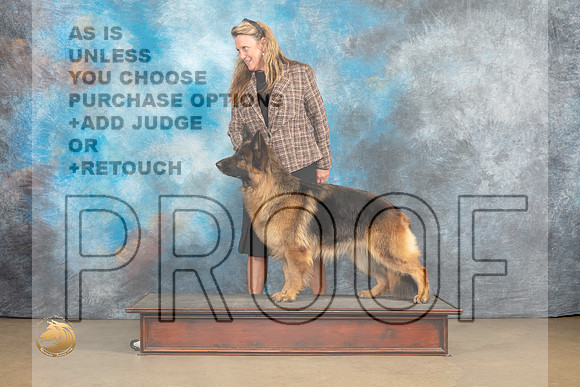 German Shepherd Dog #161 Sat1_MJ_9350_UKCLvwfeb23_HR3
