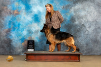 German Shepherd Dog #267 Sat1
