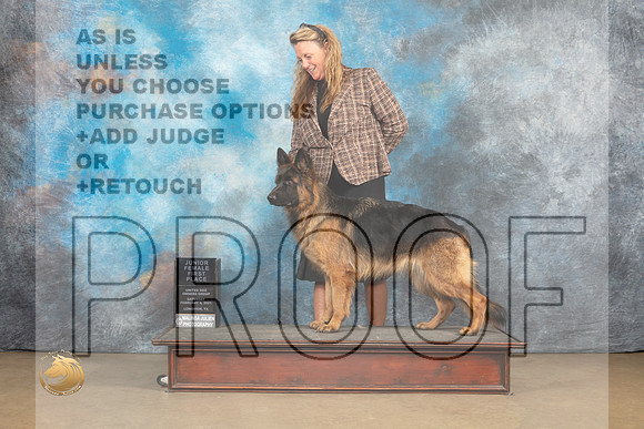 German Shepherd Dog #267 Sat1_MJ_9370_UKCLvwfeb23_HR3