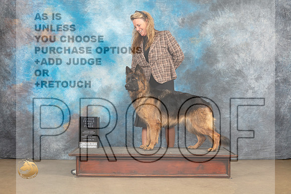 German Shepherd Dog #267 Sat1_MJ_9371_UKCLvwfeb23_HR3