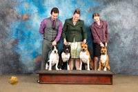 American Pit Bull terrier Family Sat