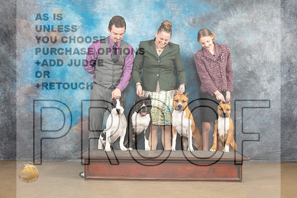 American Pit Bull terrier Family Sat _MJ_9501_UKCLvwfeb23_HR3