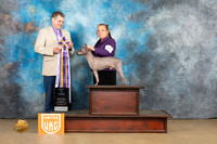 American Hairless Terrier #256 Sat1 BIS Judge Tony Roposo