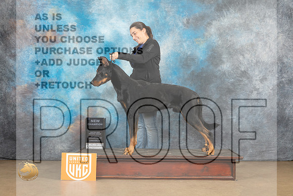 Beauceron #309 Sat 1stCh Judge Tony Roposso_MJ_9583_UKCLvwfeb23_HR3