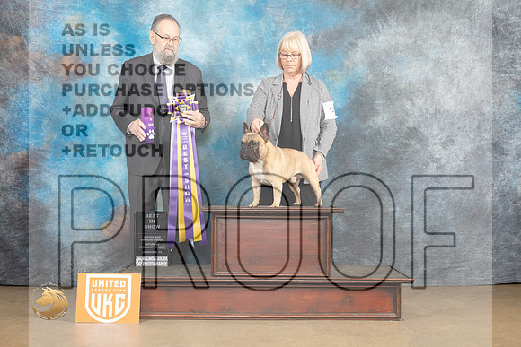 French Bulldog #127 Sat2 BIS Judge Roland Pelland_MJ_9626_UKCLvwfeb23_HR3