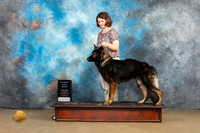 German Shepherd Dog #115 Sat RWD Rolland Pelland
