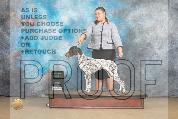 German Shorthaired Pointer #205 Sat G3 Judge Debbie Mitchell_MJ_9575_UKCLvwfeb23_HR3