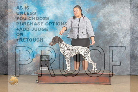 German Shorthaired Pointer #205 Sat G3 Judge Debbie Mitchell_MJ_9576_UKCLvwfeb23_HR3