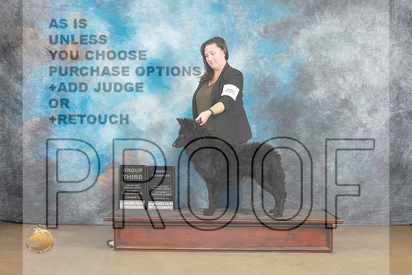 Mudi #280 Sat G3 Judge Tony Raposso_MJ_9561_UKCLvwfeb23_HR3