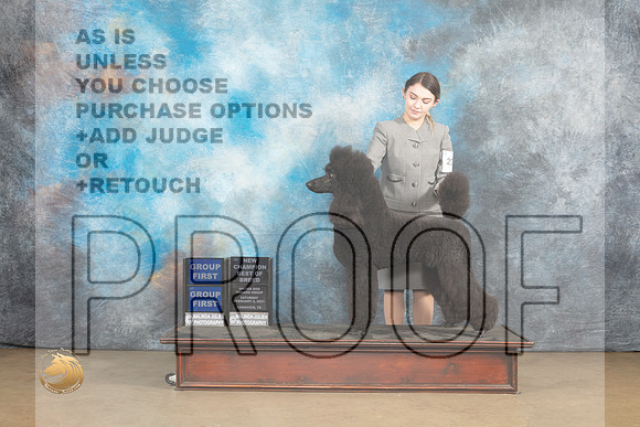 Poodle Std #230 Sat BOBG1 Judge Debbie Mitchelle BOBG1 Judge Rick Gann_MJ_9540_UKCLvwfeb23_HR3