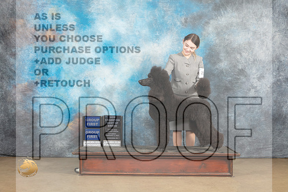 Poodle Std #230 Sat BOBG1 Judge Debbie Mitchelle BOBG1 Judge Rick Gann_MJ_9541_UKCLvwfeb23_HR3