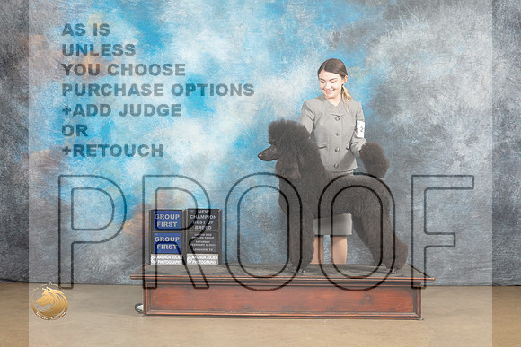 Poodle Std #230 Sat BOBG1 Judge Debbie Mitchelle BOBG1 Judge Rick Gann_MJ_9542_UKCLvwfeb23_HR3