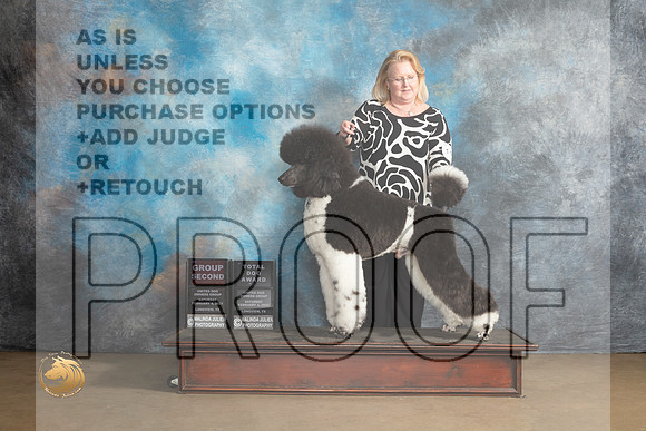 Poodle Std MC #1108 Sat2 G2TD Judge Debbie Mitchell_MJ_9553_UKCLvwfeb23_HR3