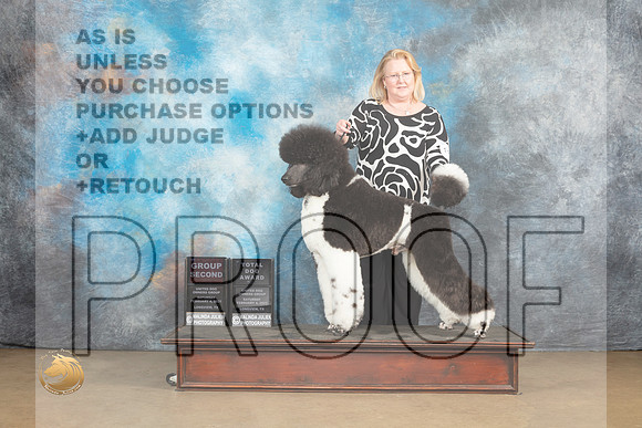 Poodle Std MC #1108 Sat2 G2TD Judge Debbie Mitchell_MJ_9554_UKCLvwfeb23_HR3
