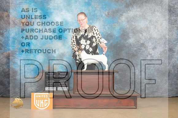 Teddy Roosevelt Terrier #269 Sat2 BFCh Judge Roland Pelland_MJ_9606_UKCLvwfeb23_HR3
